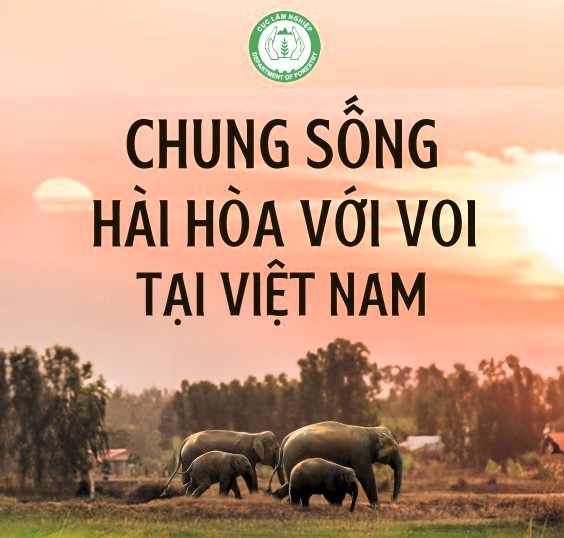 Chung sống với Voi
